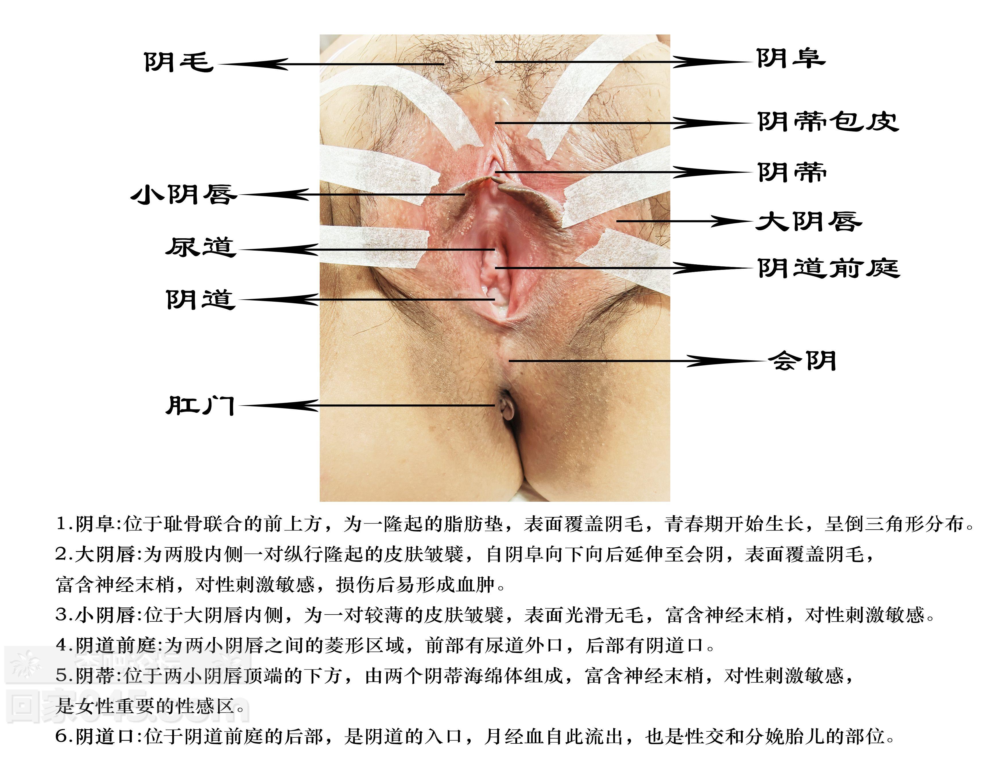 未标题-122222.jpg